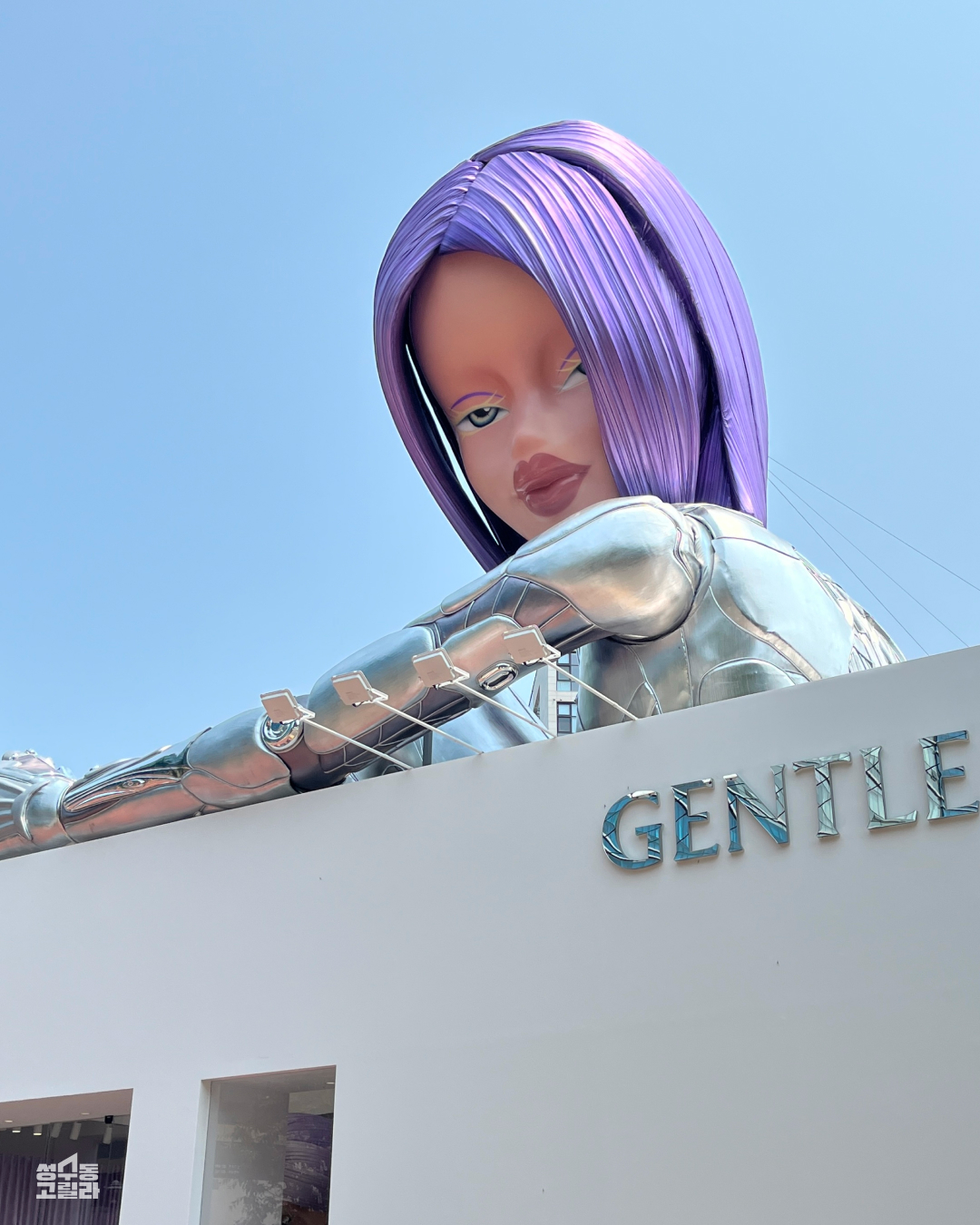 젠틀몬스터, 이젠 안경 접습니다 |