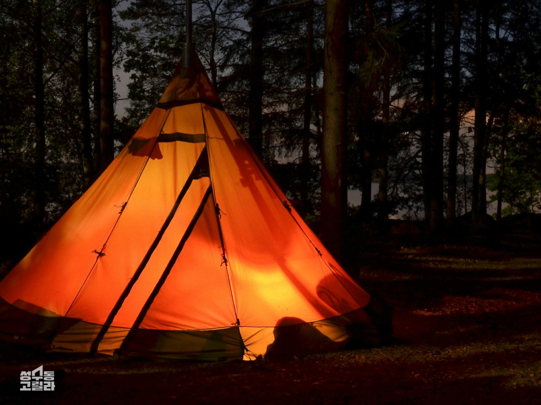 서울숲에 캠핑하러 갈 사람 구함 | 