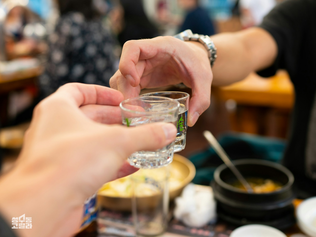 갈테야테야 술 마시러 갈테야 |