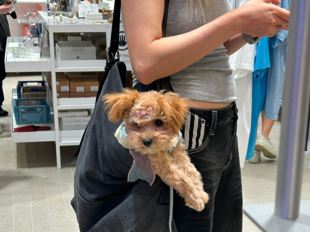 개강했는데 뭐 입지…? 개강맞이 성수 편집샵 코스 | 