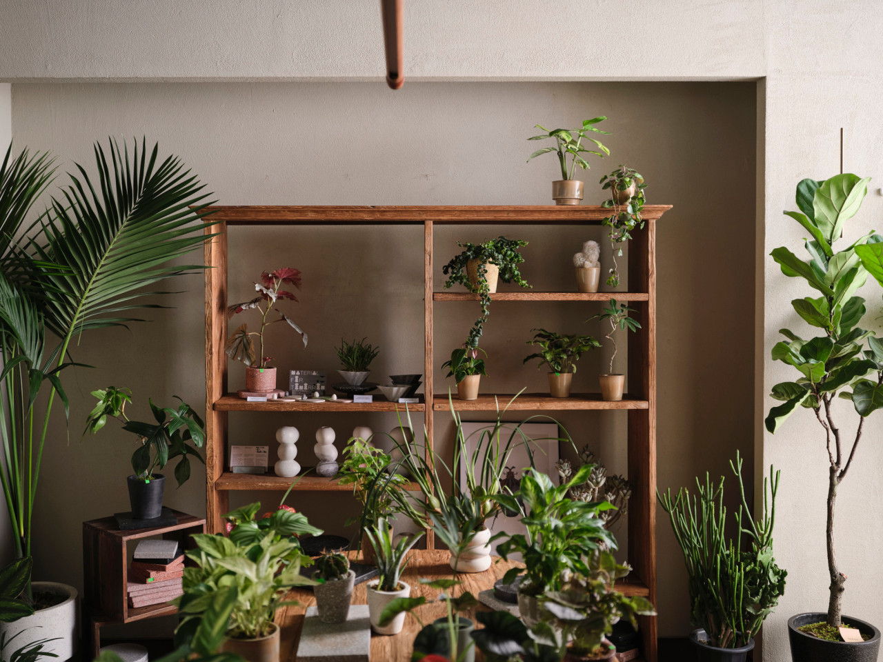 식물멍 때리기 딱 좋은 성수 식집사 핫플 4 |