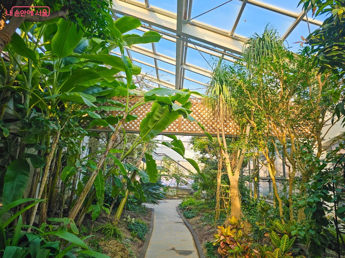 무려 20년 만에 재개방한 ‘이곳’ | 