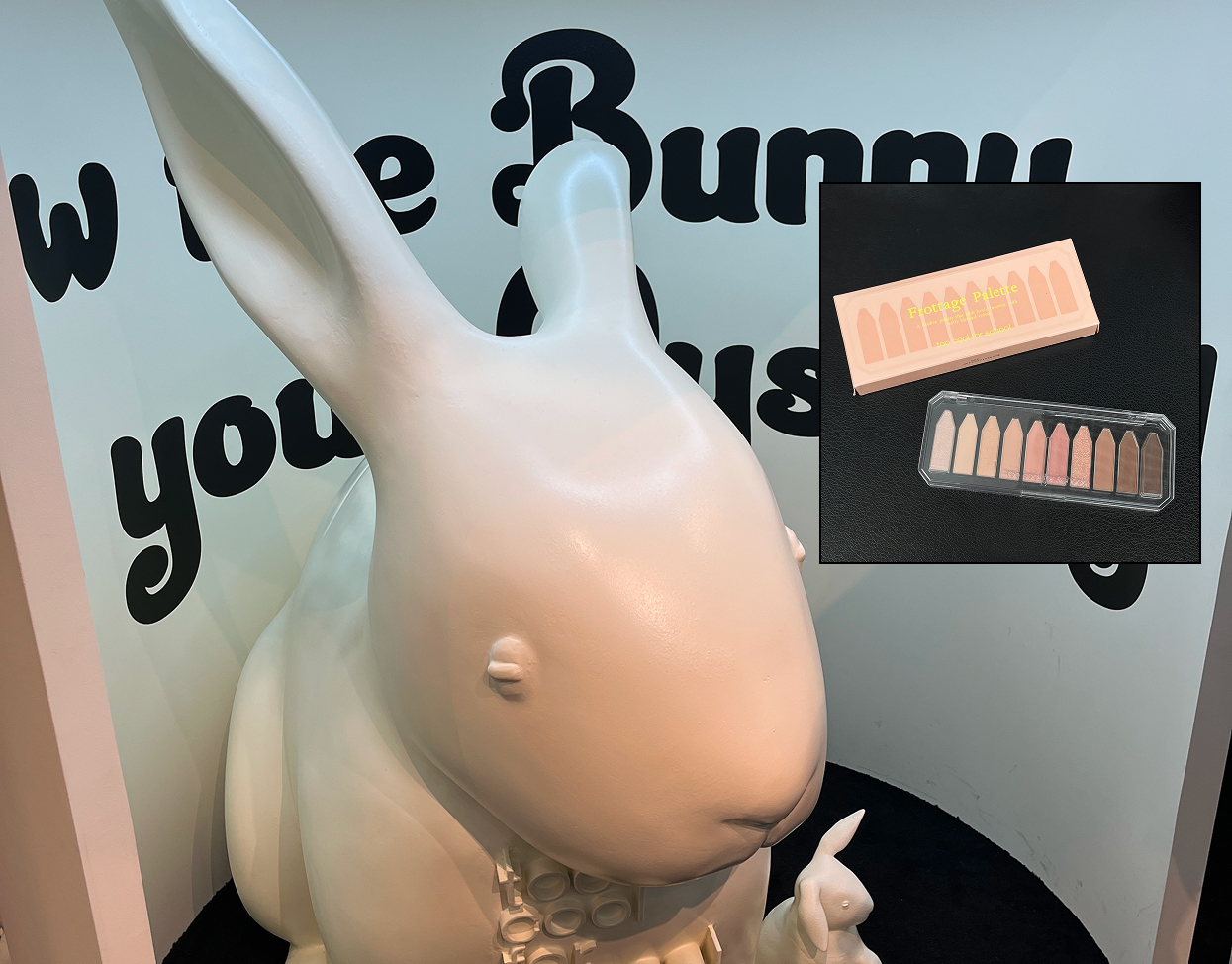 10구 팔레트 무료로 주는 미스테리한 토끼굴 |