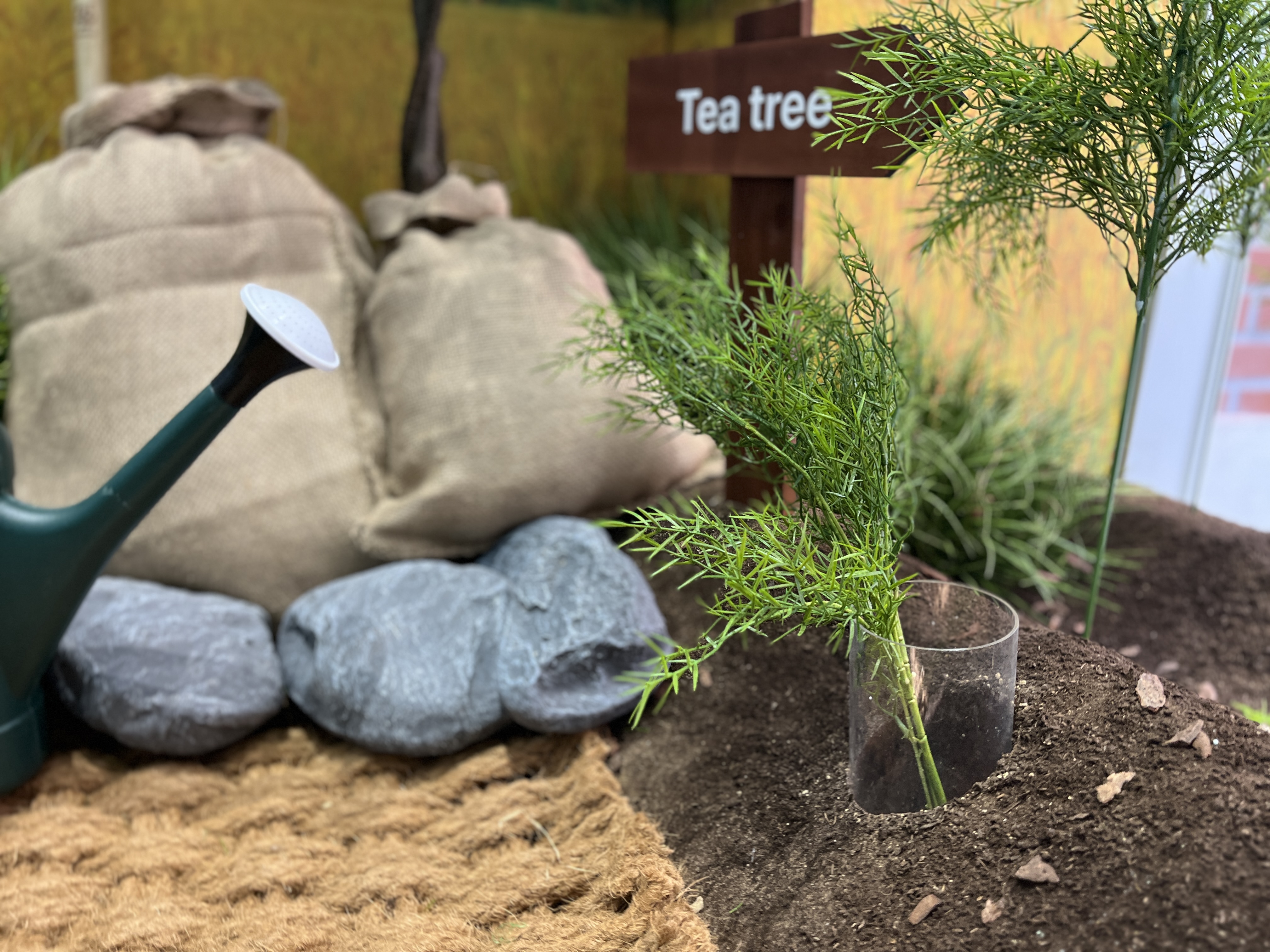 나만의 효소 클렌저? 먹지 마세요, 피부에 양보하세요 | 